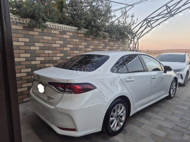 Toyota Corolla-2