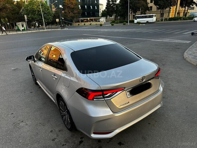 Toyota Corolla-6