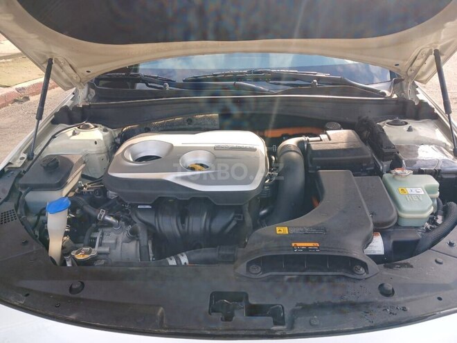 Kia K5-6
