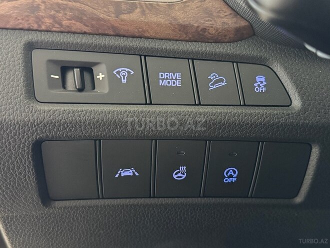 Hyundai Santa Fe-18