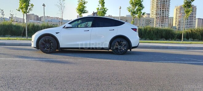 Tesla Model Y-2