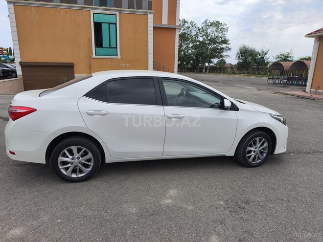 Toyota Corolla-4