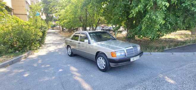 Mercedes 190-2