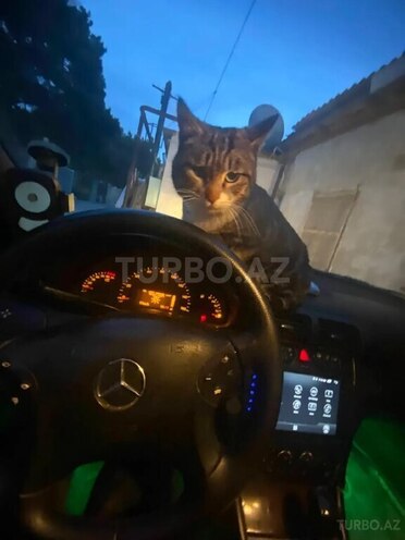 Mercedes C 240-7