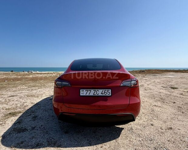 Tesla Model Y-4