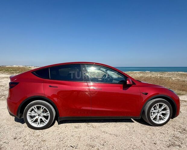 Tesla Model Y-5