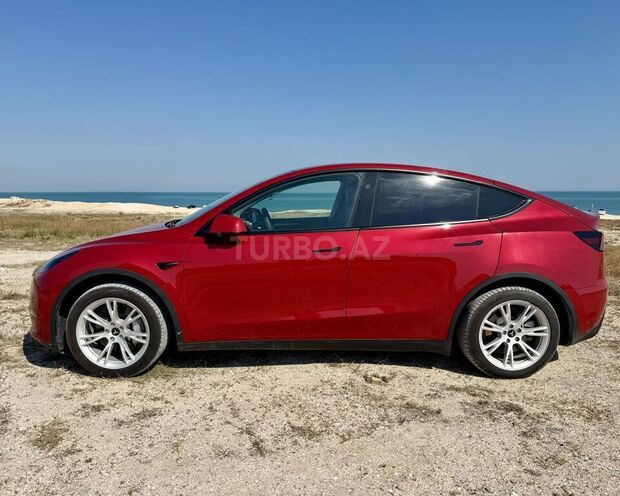 Tesla Model Y-3