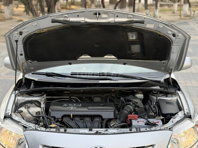 Toyota Corolla-15