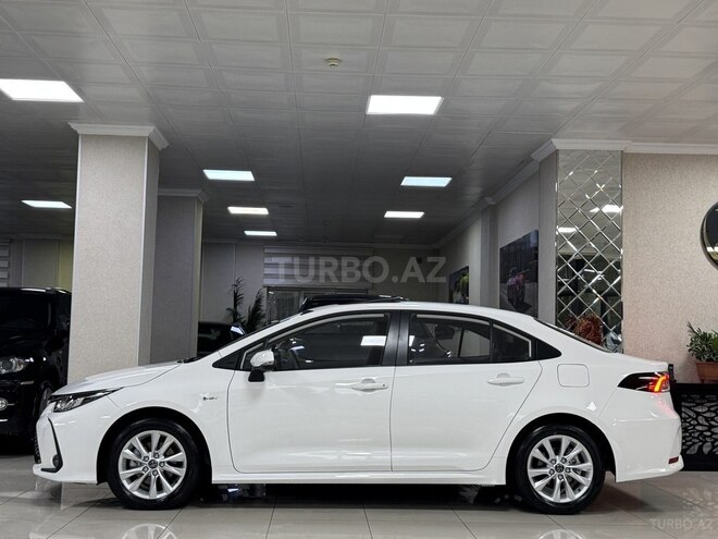 Toyota Corolla-5