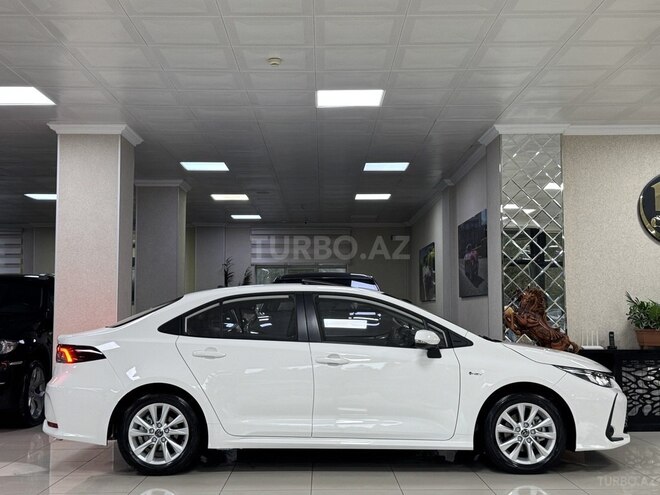 Toyota Corolla-4