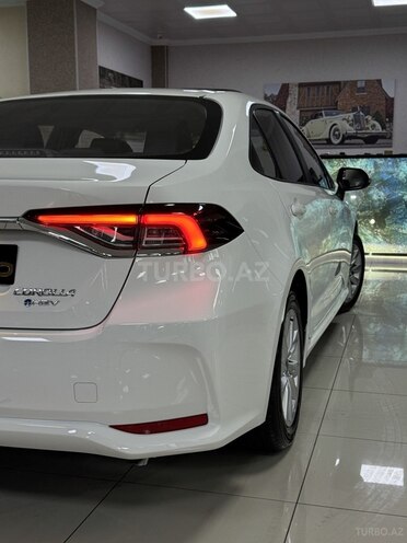 Toyota Corolla-8