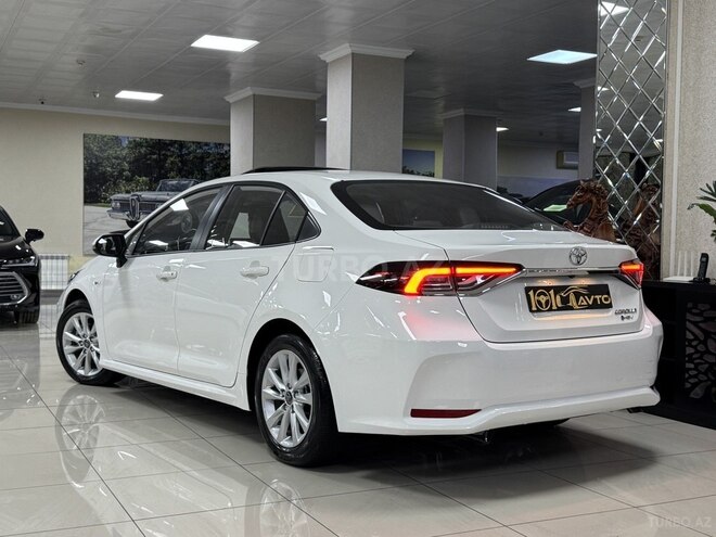 Toyota Corolla-6