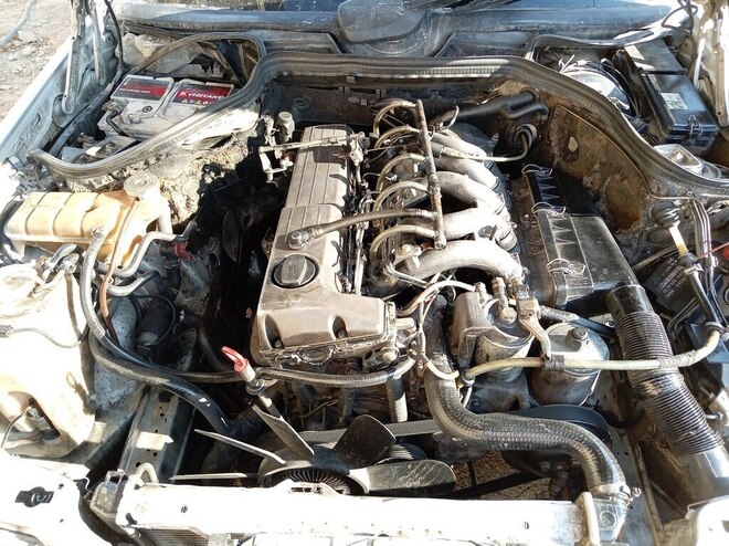 Mercedes 250 D-16