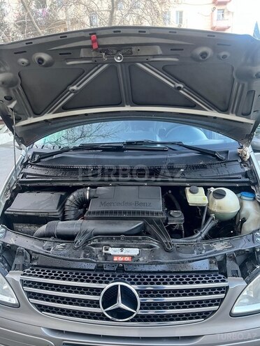 Mercedes Viano-9
