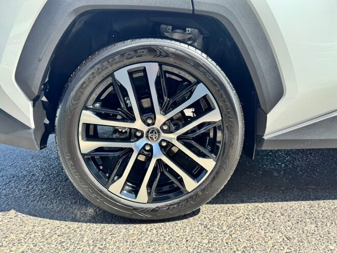 Toyota Wildlander-16