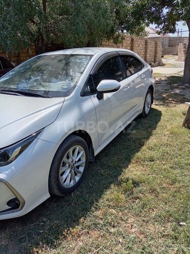 Toyota Corolla-4