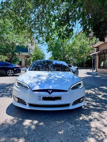 Tesla Model S-1