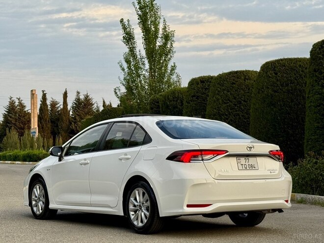 Toyota Corolla-7