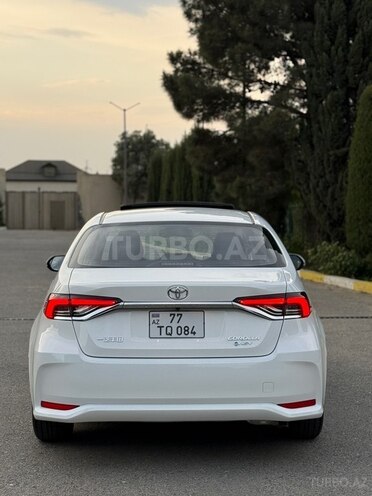 Toyota Corolla-6