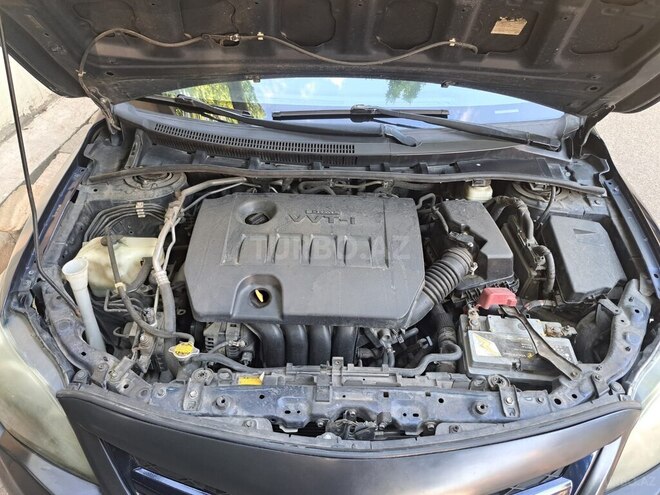 Toyota Corolla-6