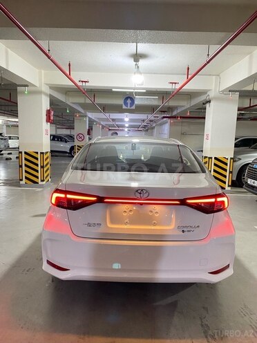 Toyota Corolla-2