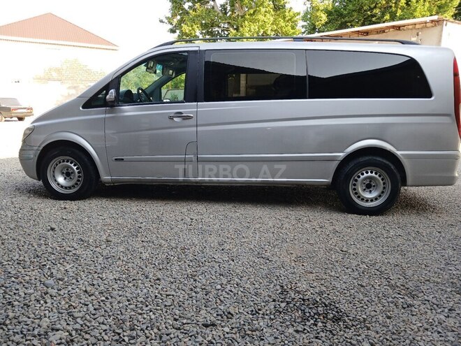 Mercedes Viano-10