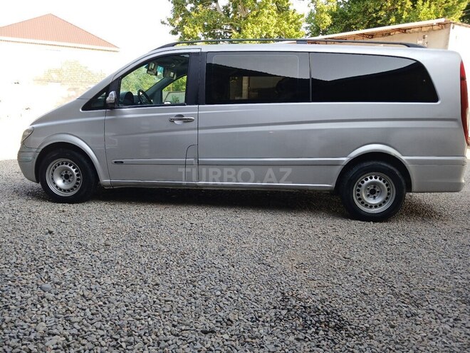 Mercedes Viano-9