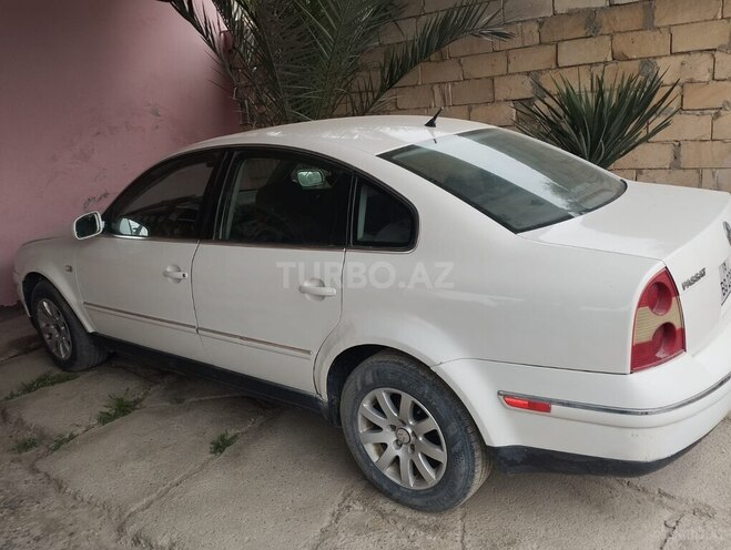 Volkswagen Passat-4