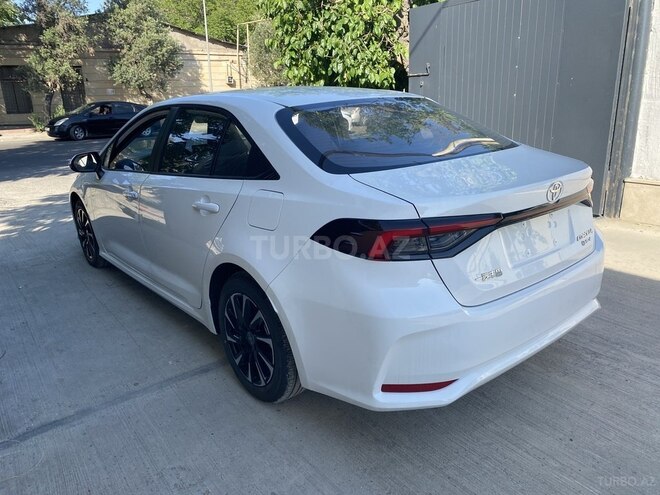 Toyota Corolla-14
