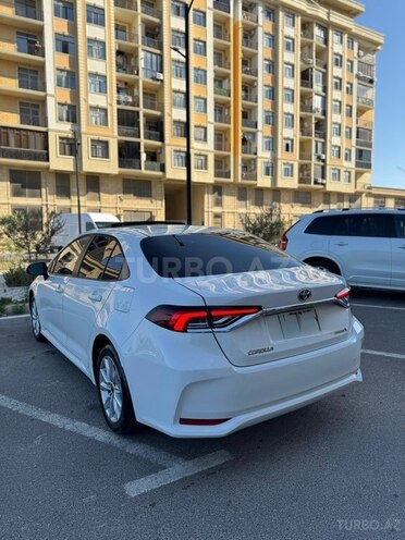 Toyota Corolla-2