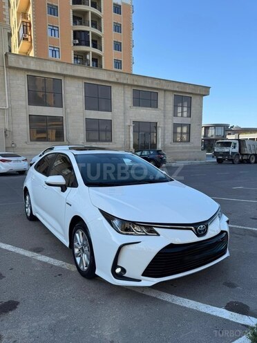 Toyota Corolla-3