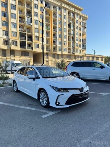 Toyota Corolla-6
