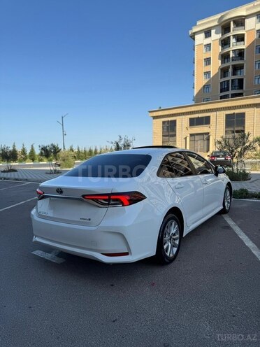 Toyota Corolla-19