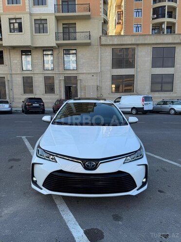 Toyota Corolla-21