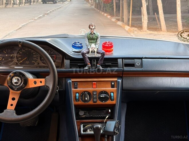 Mercedes 250 D-19