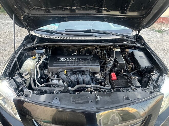Toyota Corolla-12