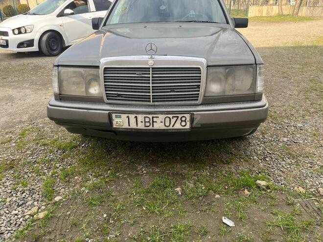 Mercedes 250 D-8