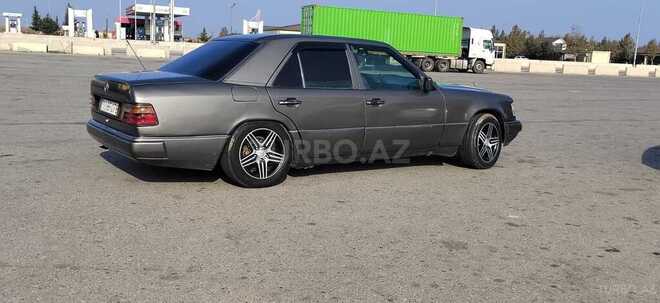 Mercedes 250 D-10