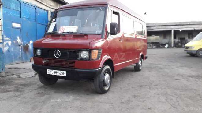 Mercedes 308 D-3