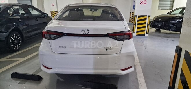 Toyota Corolla-6