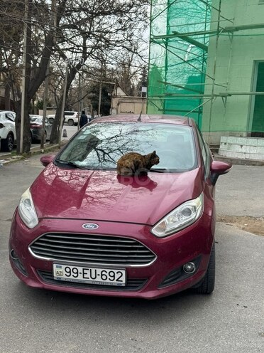 Ford Fiesta-9