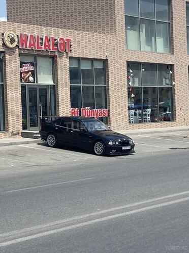 BMW 318-11