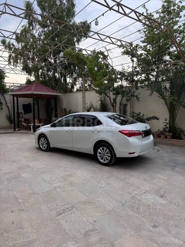 Toyota Corolla-5