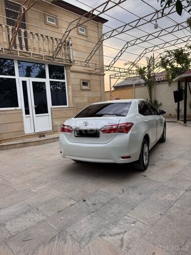 Toyota Corolla-6