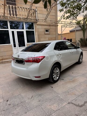 Toyota Corolla-7
