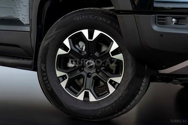 BYD Shark-6