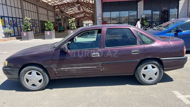 Opel Vectra-4