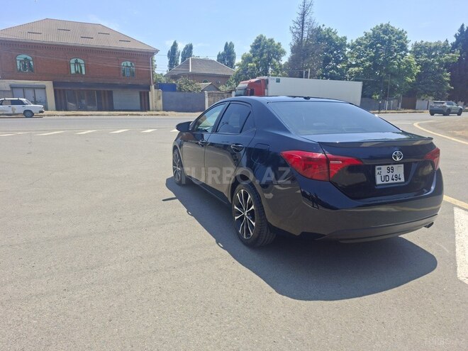 Toyota Corolla-6