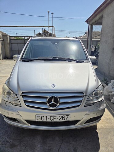 Mercedes Viano-1