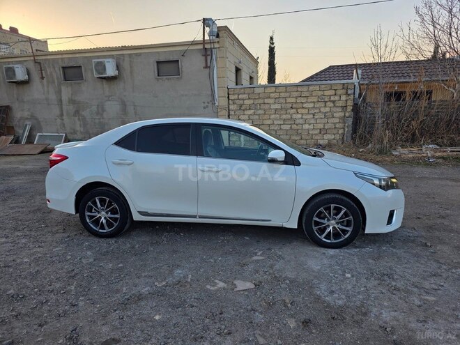 Toyota Corolla-6